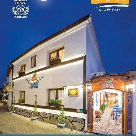 Ion Slow Adult 12 Alloggio in famiglia *