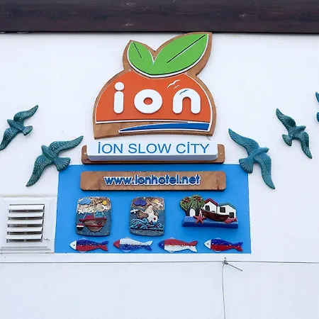 Alloggio in famiglia Ion Slow Adult 12 *