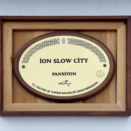 Alloggio in famiglia Ion Slow Adult 12
