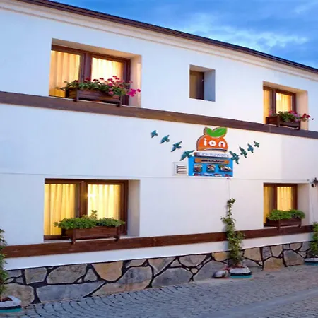 Ion Slow Adult 12 Alloggio in famiglia Siğacık